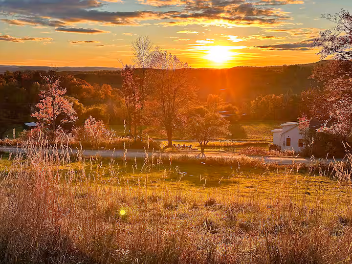 Farm Retreat on a 250-Acre Vermont Sheep Farm photo 24